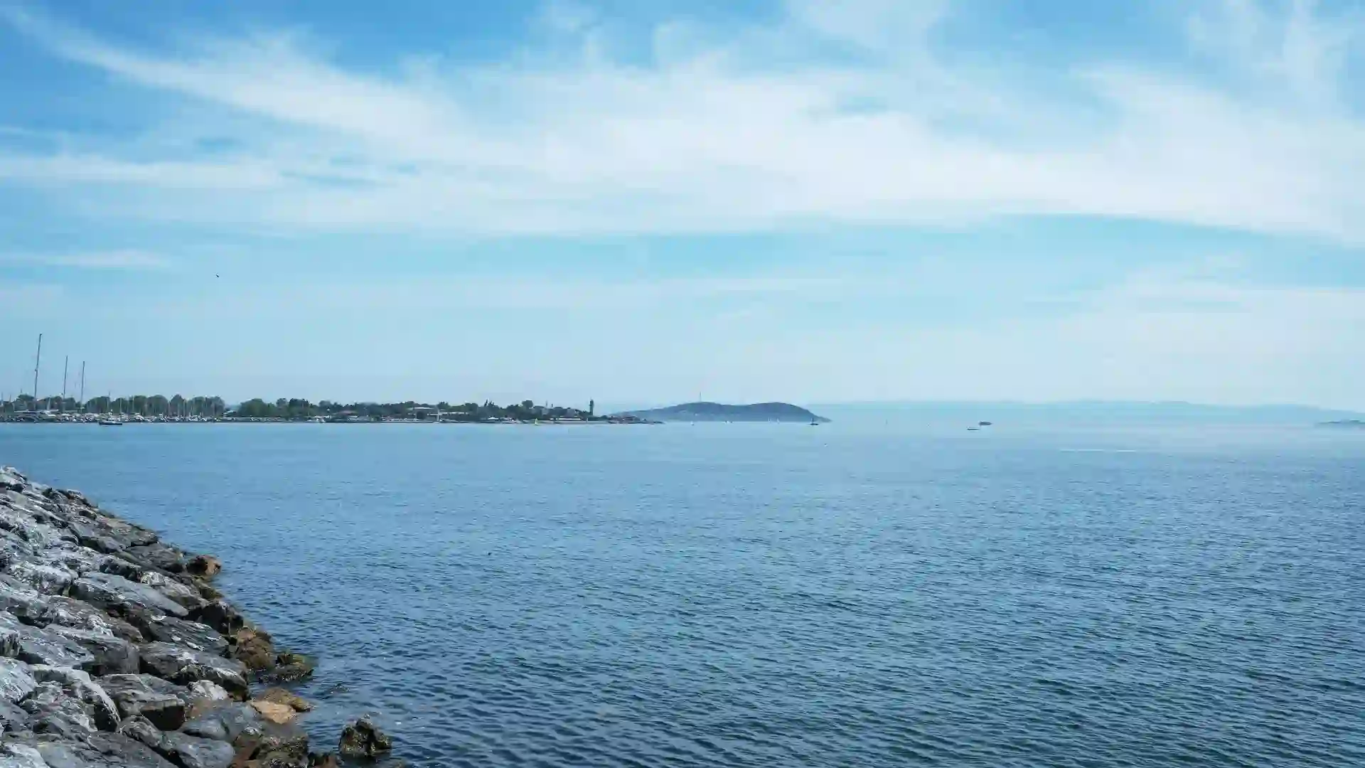 Wildberries о недобросовестных покупателях: статистика и защита селлеров