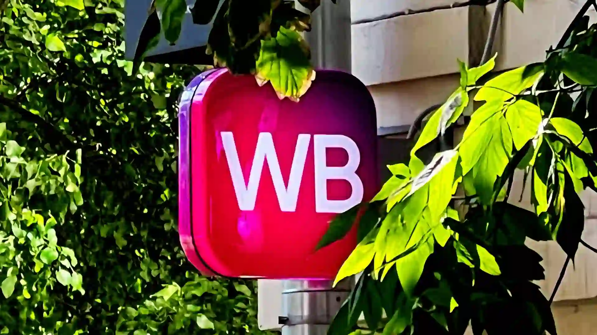 Wildberries усиливает защиту складов после атак ВСУ: заявление Татьяны Ким