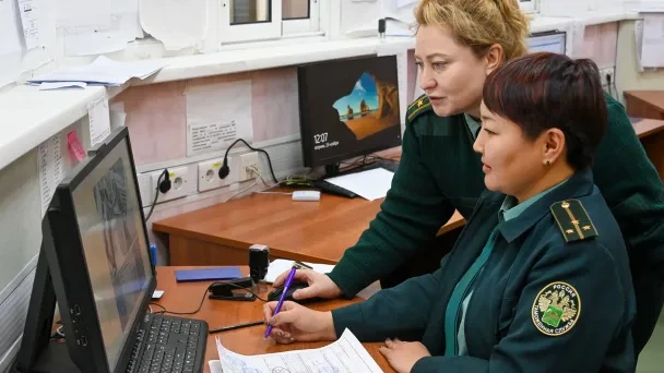 Ужесточение контроля таможни: нововведения влияют на импортеров